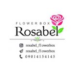 باکس های متنوع گل رز با رزابل